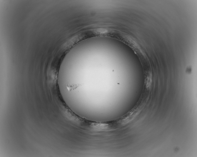 X0000096400476200802071605