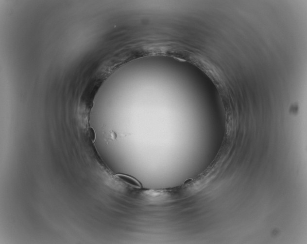 X0000096400477200802071605