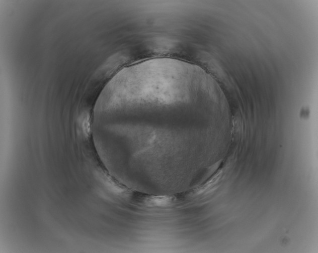 X0000096400479200802071605