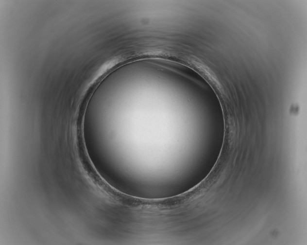 X0000096400482200802071604