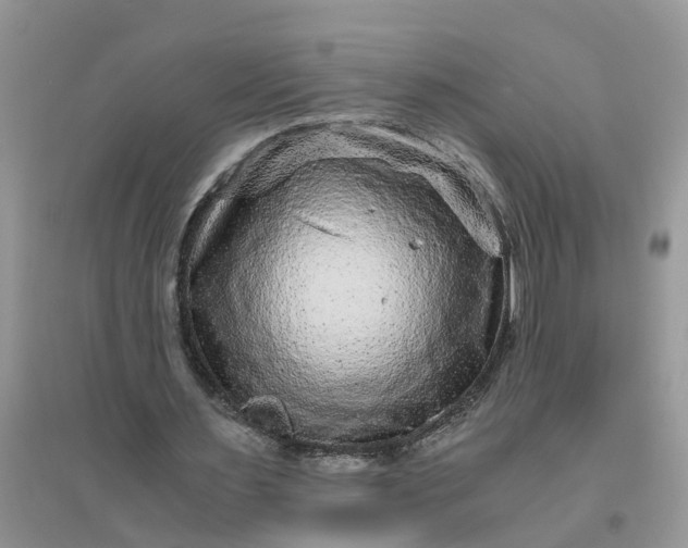 X0000096400483200802071604