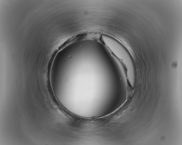 X0000096400485200802071604