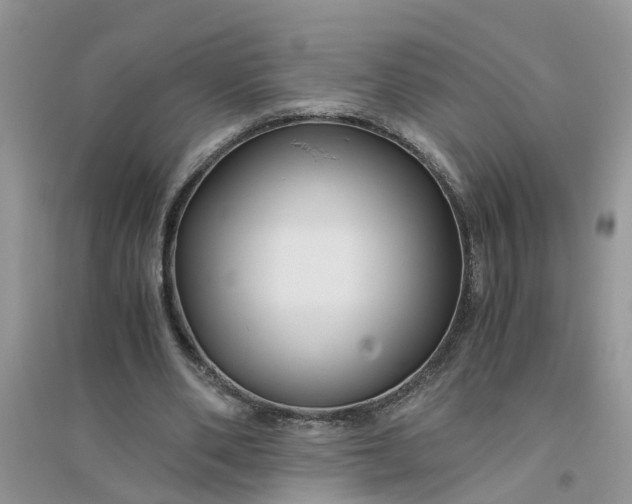 X0000096400486200802071604