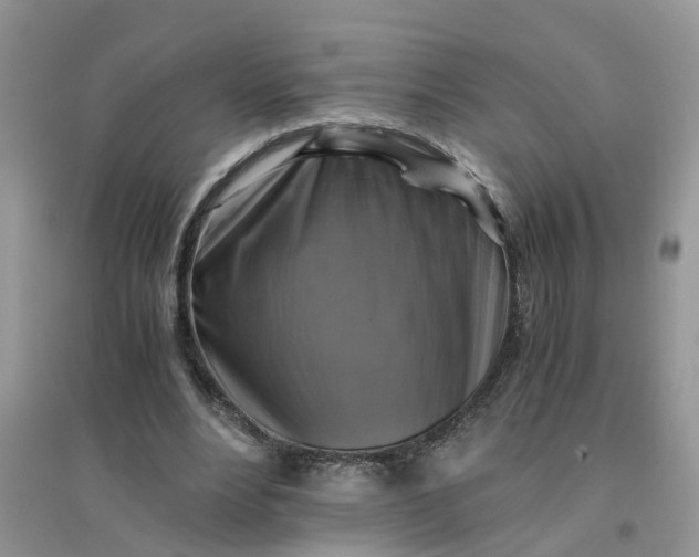 X0000096400488200802071604