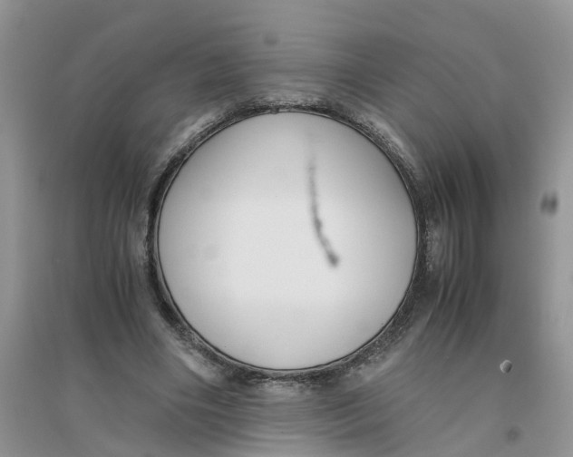 X0000096400490200802071604