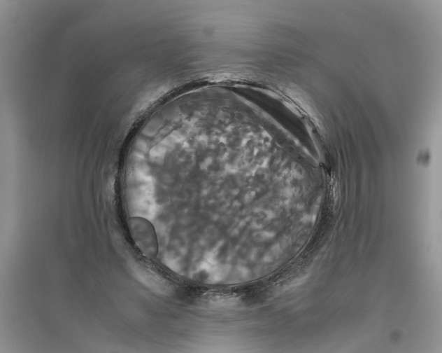 X0000096400491200802071604