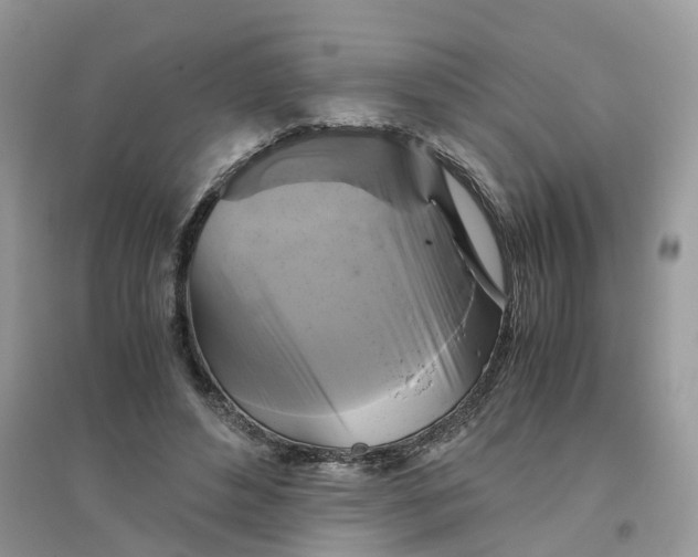 X0000096400496200802071604