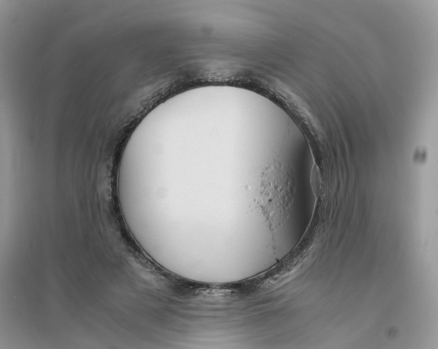 X0000096400497200802071604