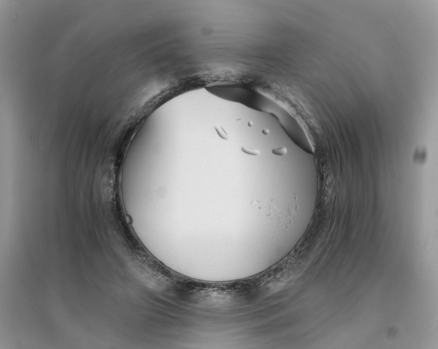 X0000096400498200802071604