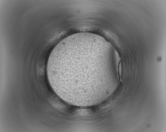 X0000096400499200802071604