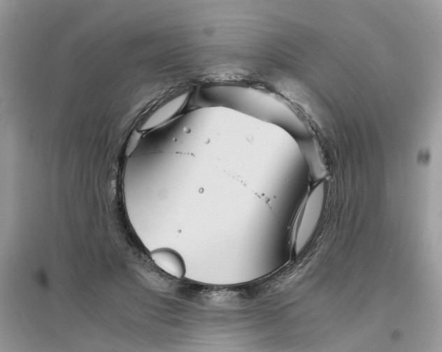 X0000096400501200802071604