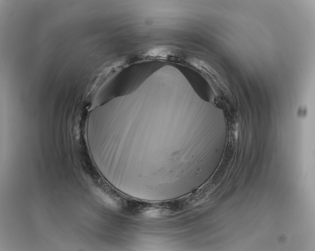 X0000096400504200802071604