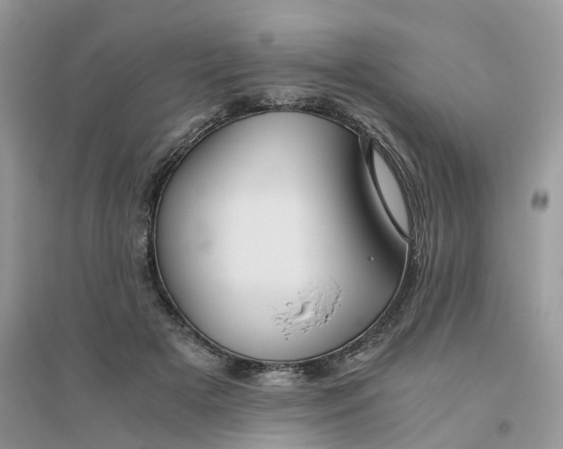 X0000096400505200802071604