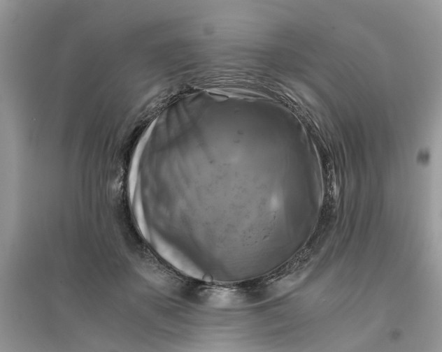 X0000096400507200802071604