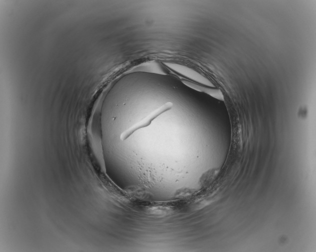 X0000096400508200802071604