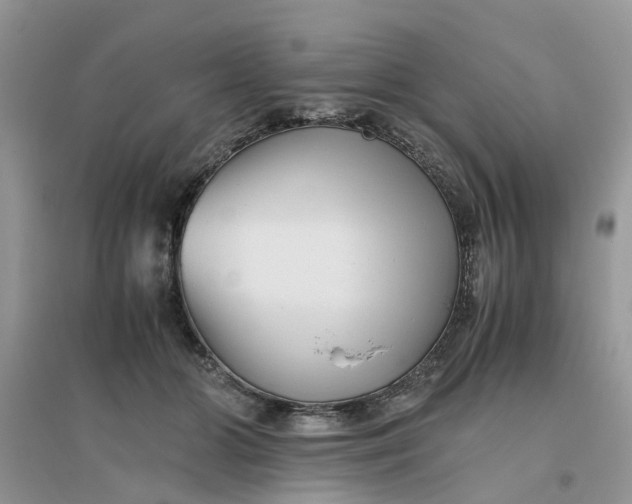 X0000096400510200802071604