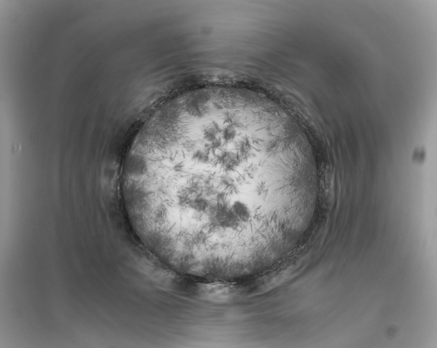 X0000096400511200802071604