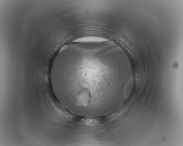 X0000096400512200802071604