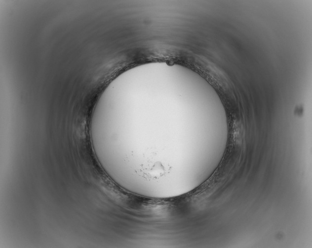 X0000096400514200802071604