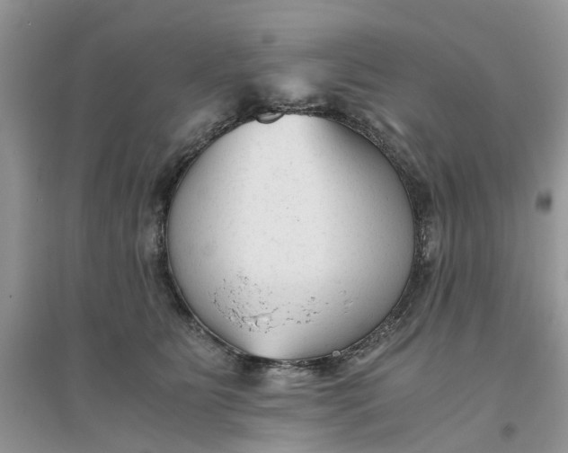 X0000096400515200802071604