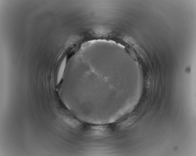 X0000096400516200802071604