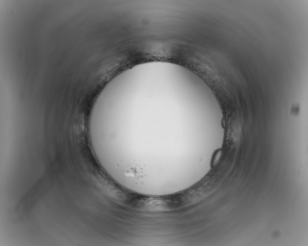 X0000096400518200802071604