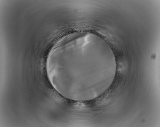 X0000096400519200802071604