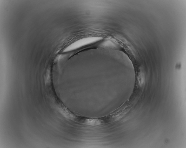 X0000096400520200802071604