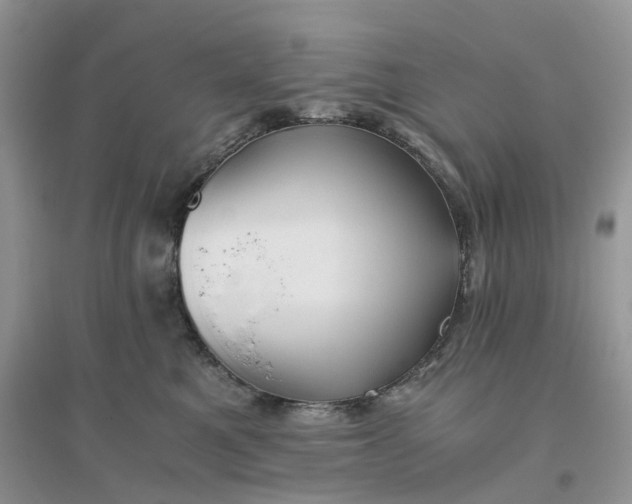 X0000096400521200802071604