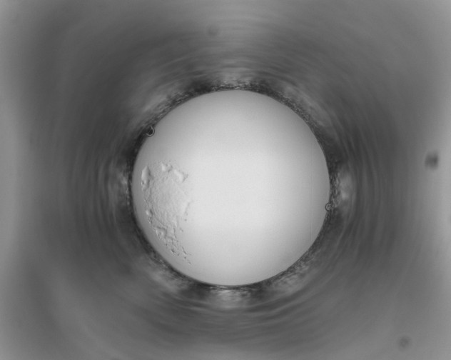 X0000096400522200802071604