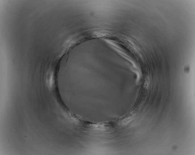 X0000096400524200802071604