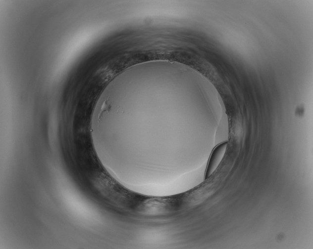 X0000096400526200802071603