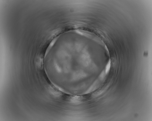 X0000096400527200802071603