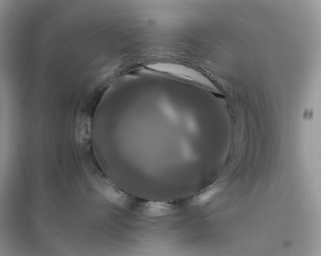 X0000096400528200802071603