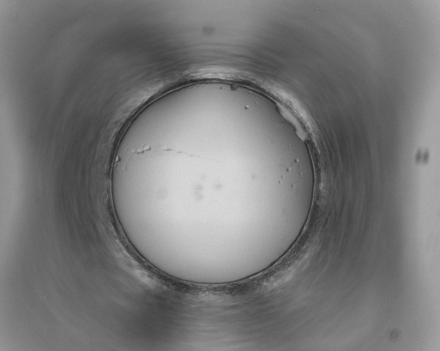 X0000096400529200802071603