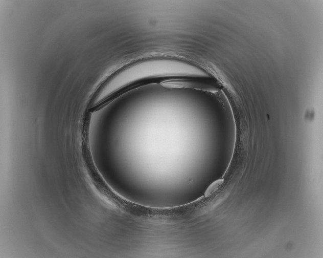 X0000096400530200802071603