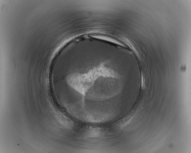 X0000096400531200802071603