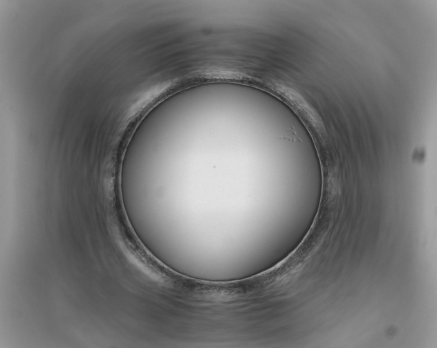 X0000096400533200802071603