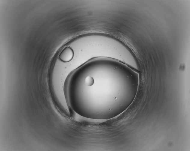 X0000096400534200802071603