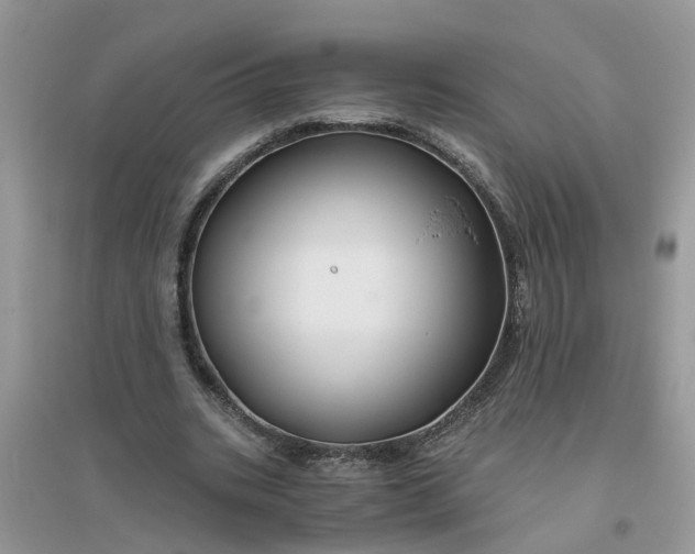 X0000096400535200802071603