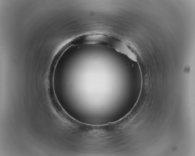 X0000096400536200802071603