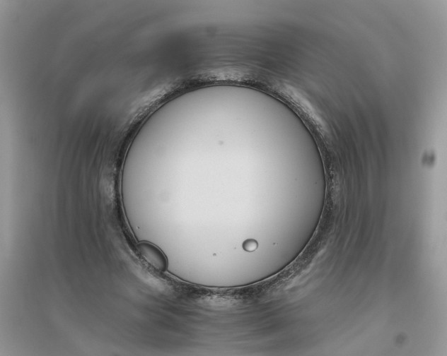 X0000096400537200802071603