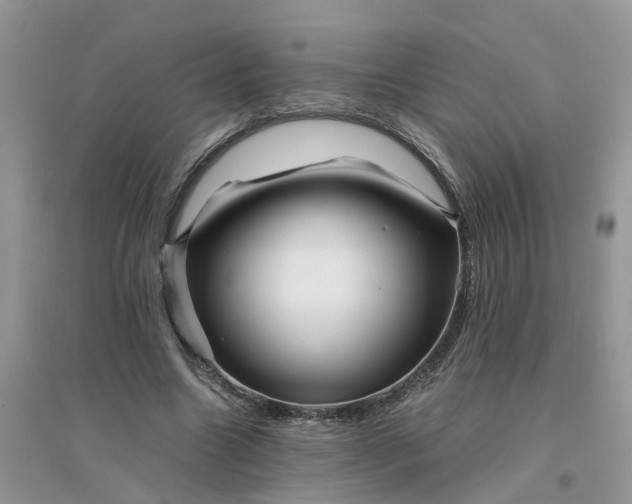 X0000096400538200802071603