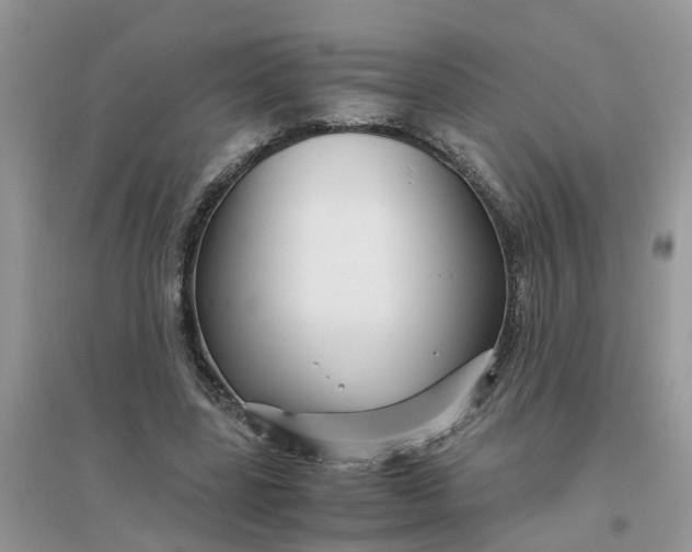 X0000096400539200802071603