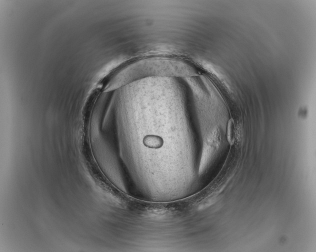 X0000096400540200802071603