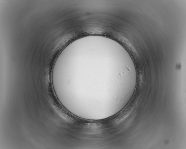 X0000096400541200802071603