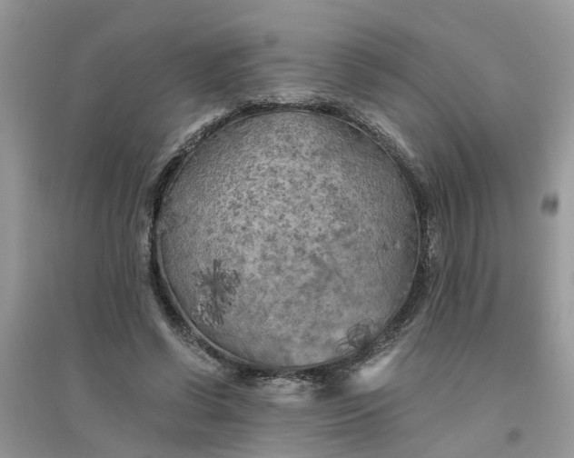 X0000096400542200802071603