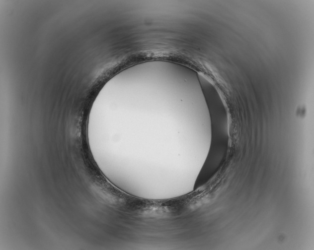 X0000096400543200802071603