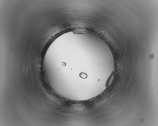 X0000096400544200802071603