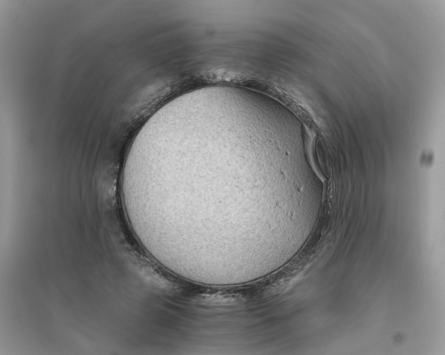 X0000096400545200802071603